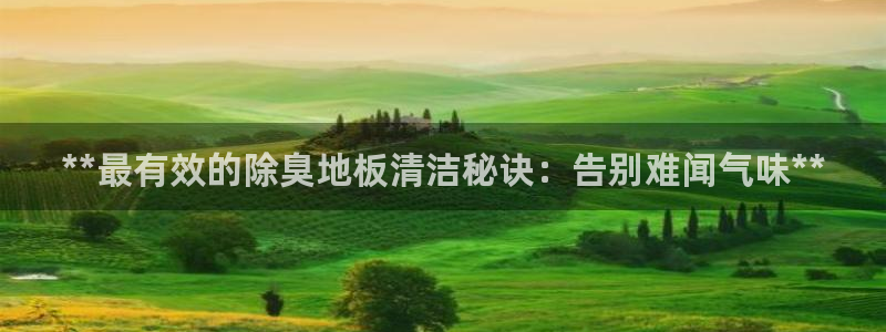 尊龙最近一次露面：**最有效的除臭地板清洁秘诀：告别难闻