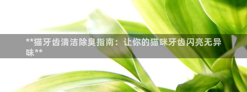 尊龙凯时代理：**猫牙齿清洁除臭指南：让你的猫咪牙齿闪亮