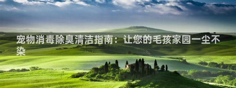 尊龙人生就是博首页：宠物消毒除臭清洁指南：让您的毛孩家园
