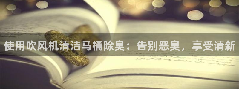 尊龙凯时不给提现怎么办：使用吹风机清洁马桶除臭：告别恶臭
