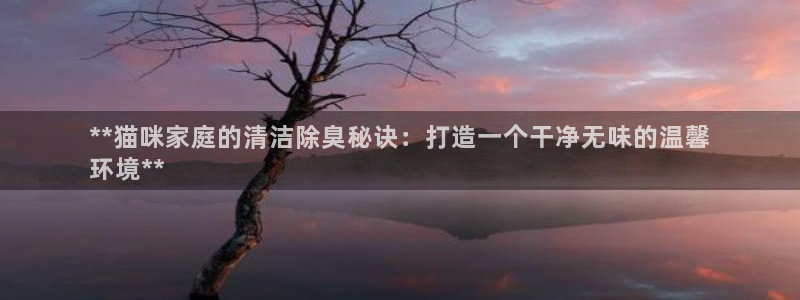 尊龙 5：**猫咪家庭的清洁除臭秘诀：打造一个干净无味的