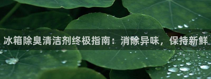 尊龙z6：冰箱除臭清洁剂终极指南：消除异味，保持新鲜