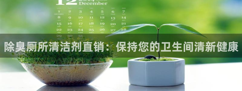 尊龙app注册官网：除臭厕所清洁剂直销：保持您的卫生间清