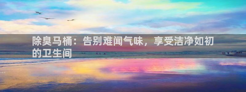 尊龙专访视频：除臭马桶：告别难闻气味，享受洁净如初
的卫