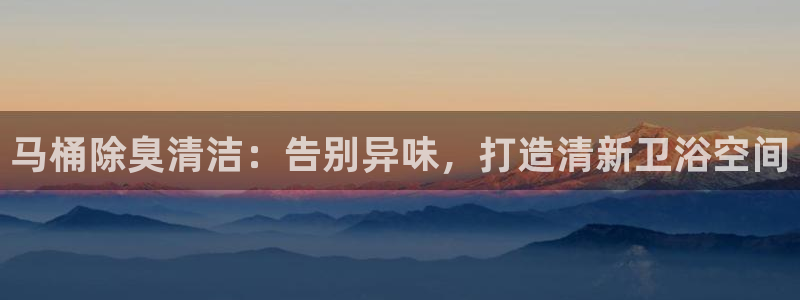 尊龙凯时 人生就是搏首页：马桶除臭清洁：告别异味，打造清