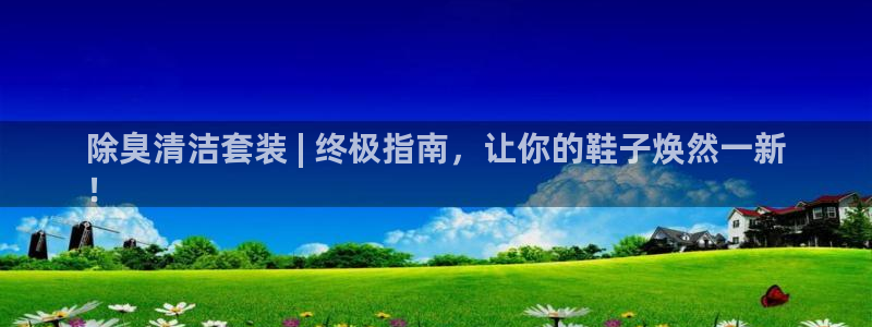 尊龙网址登录官网：除臭清洁套装 | 终极指南，让你的鞋子