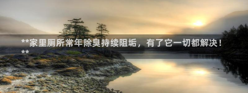尊龙凯时logo：**家里厕所常年除臭持续阻垢，有了它一