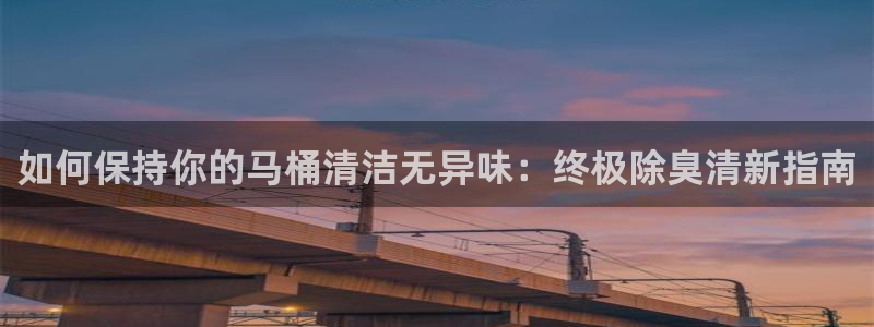 尊龙官网：如何保持你的马桶清洁无异味：终极除臭清新指南