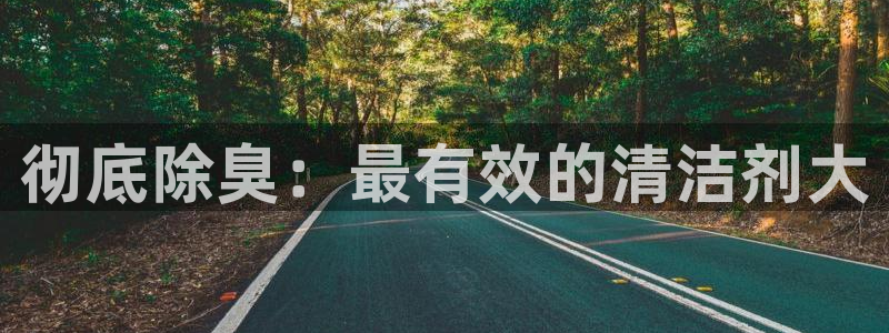 尊龙官方网站是真的吗