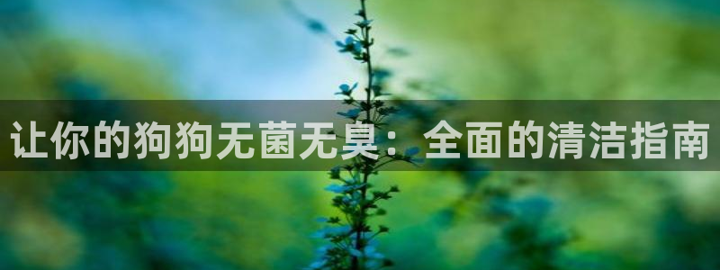 尊龙凯时一人生就是博登入：让你的狗狗无菌无臭：全面的清洁