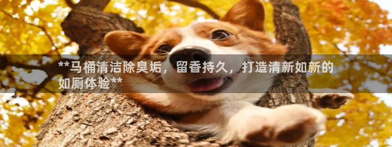 z6尊龙凯时ag旗舰厅：**马桶清洁除臭垢，留香持久，打