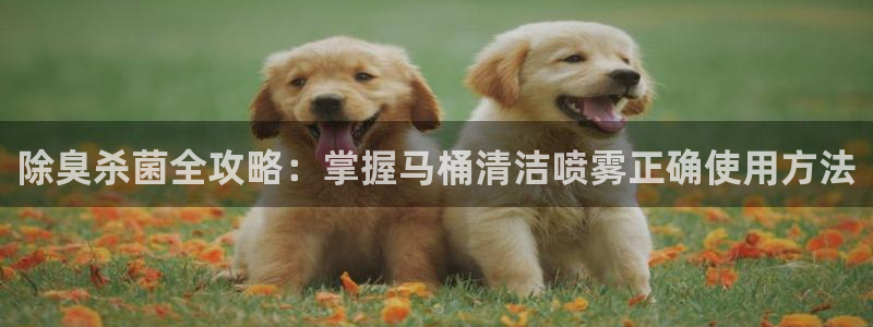 凯时kb88官网网址：除臭杀菌全攻略：掌握马桶清洁喷雾正