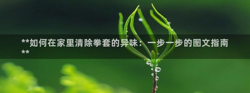 凯时k66官网登录：**如何在家里清除拳套的异味：一步一