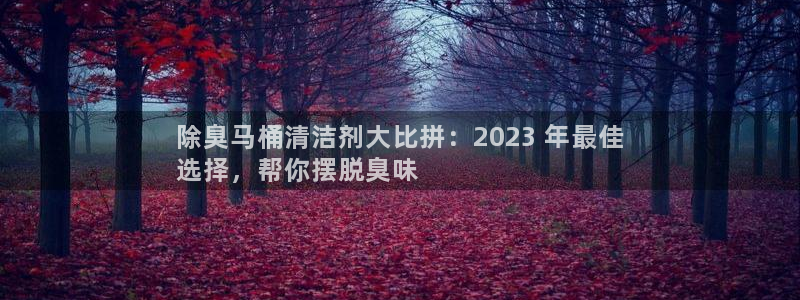 尊龙凯时ag旗舰厅官：除臭马桶清洁剂大比拼：2023 年