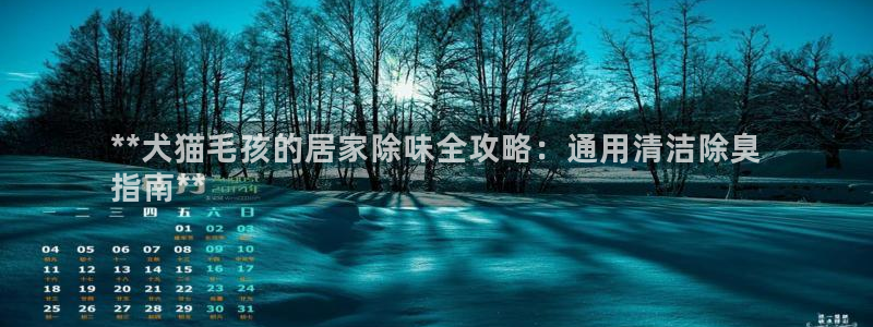 凯时国际app首页