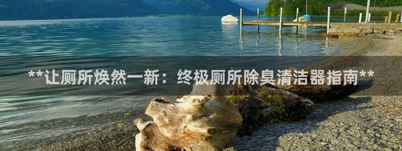 尊龙1003尊龙 - 百度：**让厕所焕然一新：终极厕所