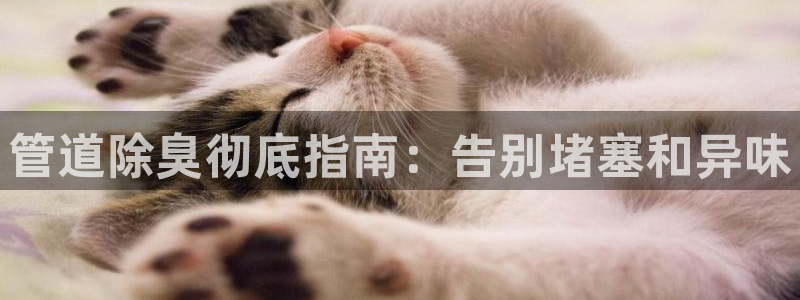尊龙凯时泰安：管道除臭彻底指南：告别堵塞和异味