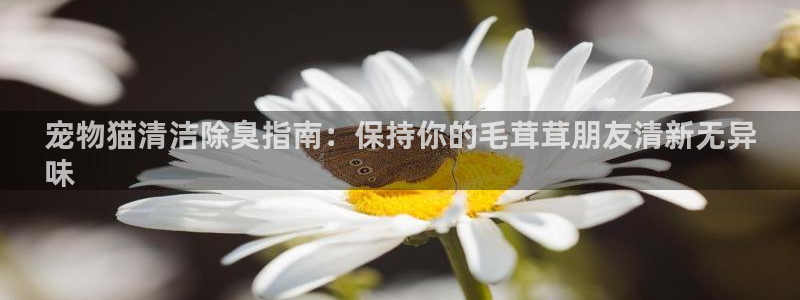 尊龙手机版