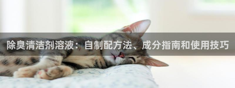 尊龙凯时官网