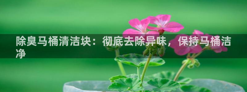 尊龙官方网站首页