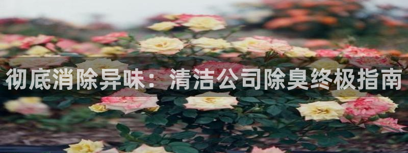尊龙凯时人生就是搏!官网