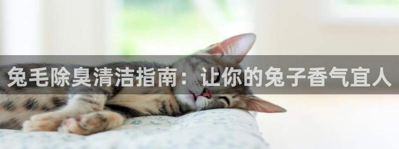 尊龙网站手机下载
