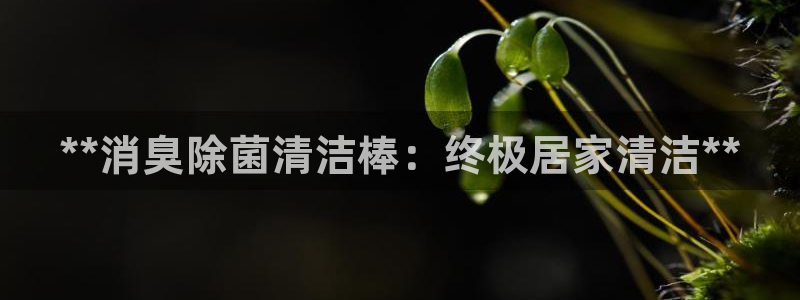 尊龙人生就是博旗舰厅