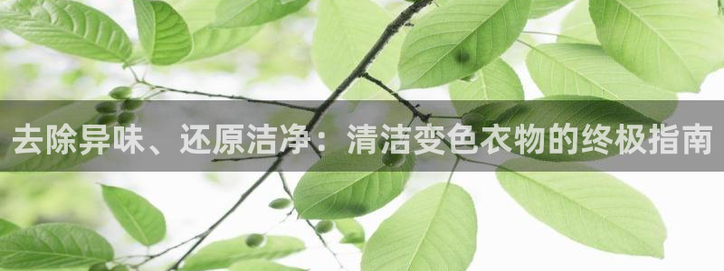 尊龙凯时始人生就是博：去除异味、还原洁净：清洁变色衣物的