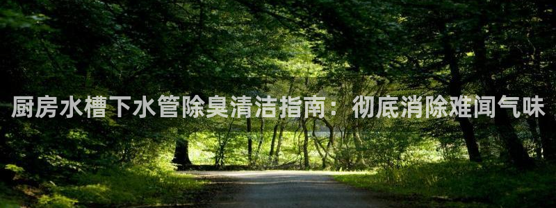 尊龙凯时处理未到账