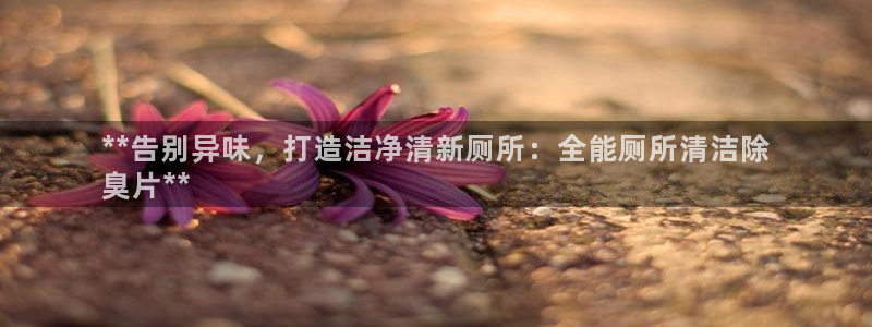 尊龙d88官网登录下载：**告别异味，打造洁净清新厕所：