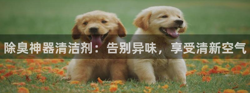 尊龙凯时登陆网址：除臭神器清洁剂：告别异味，享受清新空气