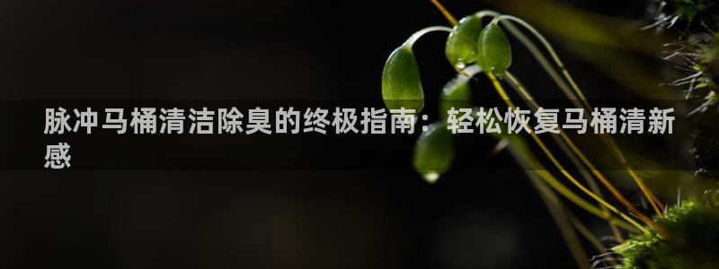 尊龙人生就是博旧版手机可靠送38元：脉冲马桶清洁除臭的终