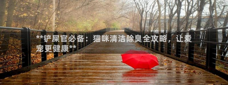 尊龙目前照片