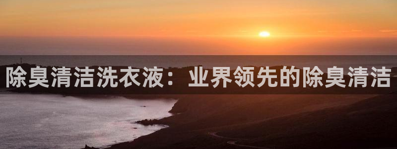 凯时k66登录：除臭清洁洗衣液：业界领先的除臭清洁