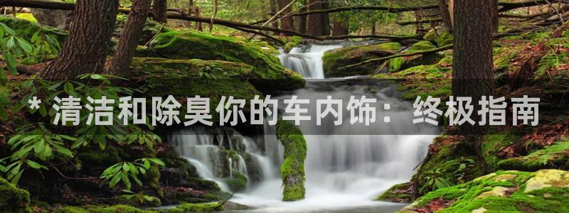 尊龙,人生就是博!登录国际：* 清洁和除臭你的车内饰：终