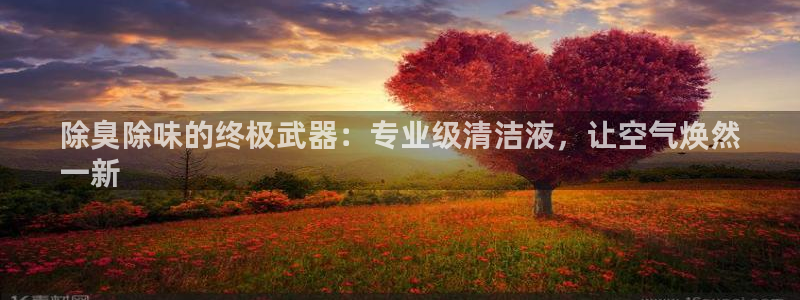 尊龙人生就是博旧版网址