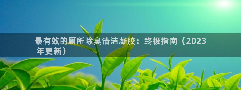 尊龙登录地址：最有效的厕所除臭清洁凝胶：终极指南（202