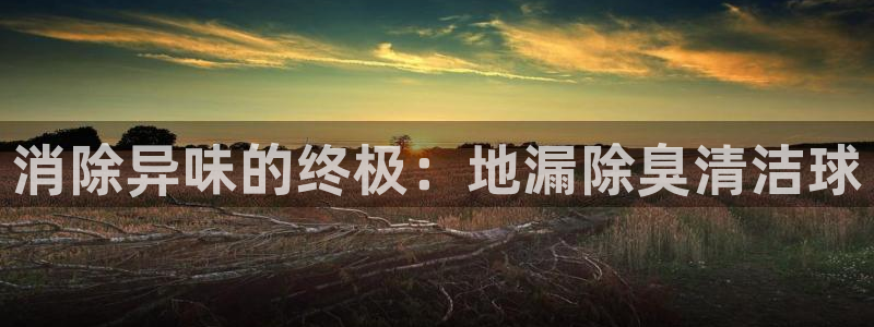 尊龙凯时论坛
