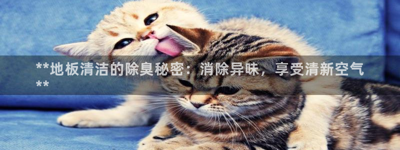尊龙凯时-人生就是博中国官网