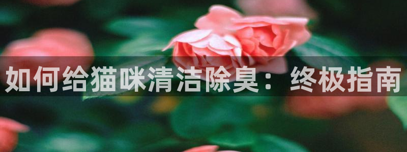 尊龙手机版