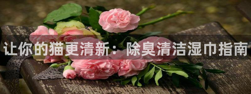 d88尊龙平台开户