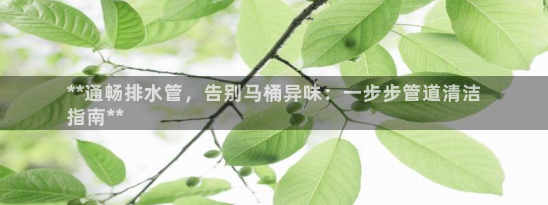 尊龙凯时产品系列