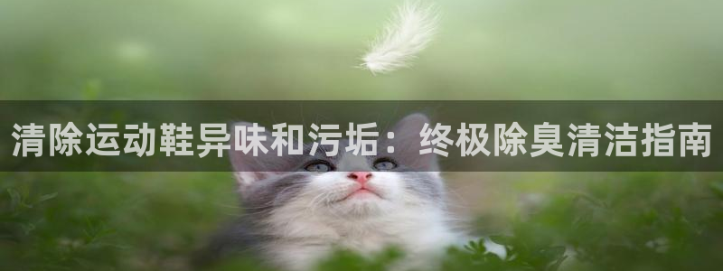 尊龙实业有限公司属于国企吗