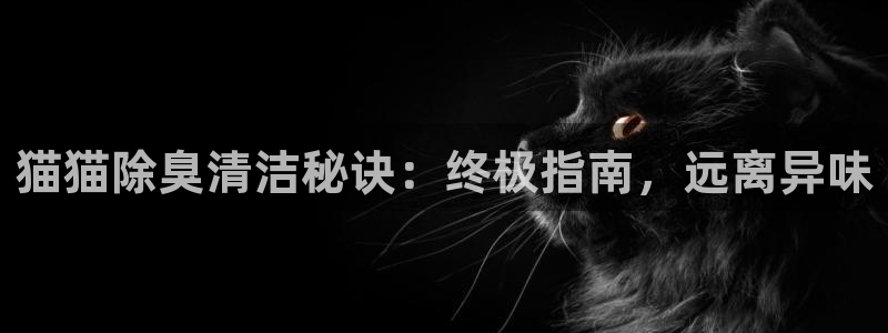 尊龙凯时人生就是搏包装优势
