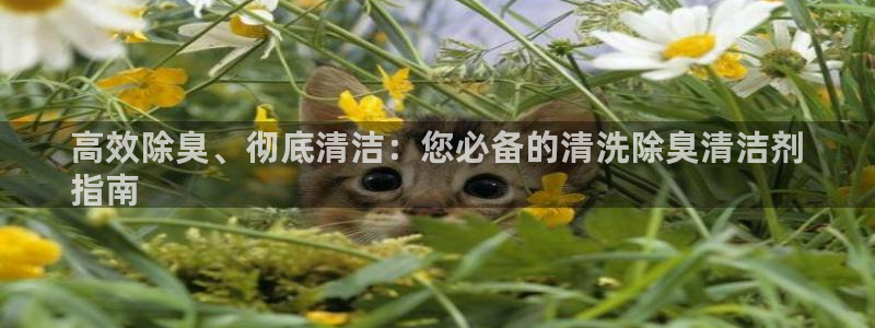 z6尊龙凯时官方