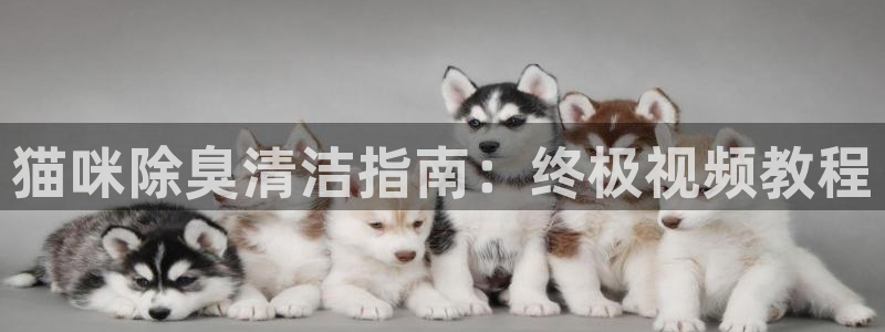 尊龙凯时-人生就是博中国官网最新