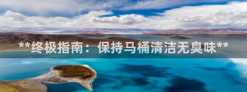 凯时国际app登录：**终极指南：保持马桶清洁无臭味**
