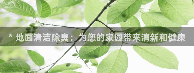 尊龙人生就是博登录准认来就送38：* 地面清洁除臭：为您