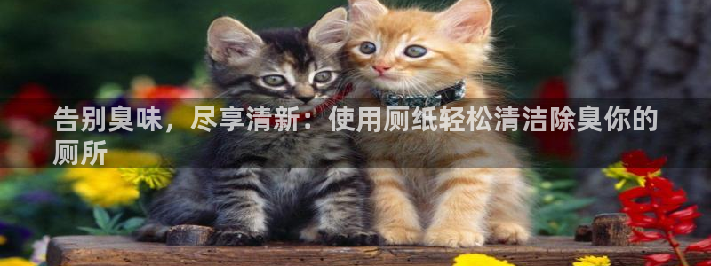 尊龙凯时人生就是博·(中国)官网：告别臭味，尽享清新：使
