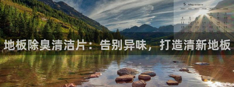 尊龙官网登录·(中国)官方网站-bd SPORTS：地板